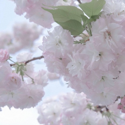 Furry插画构图解析干货FurryQQ群